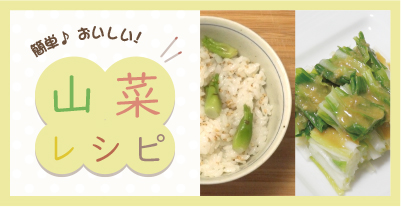 山菜レシピ